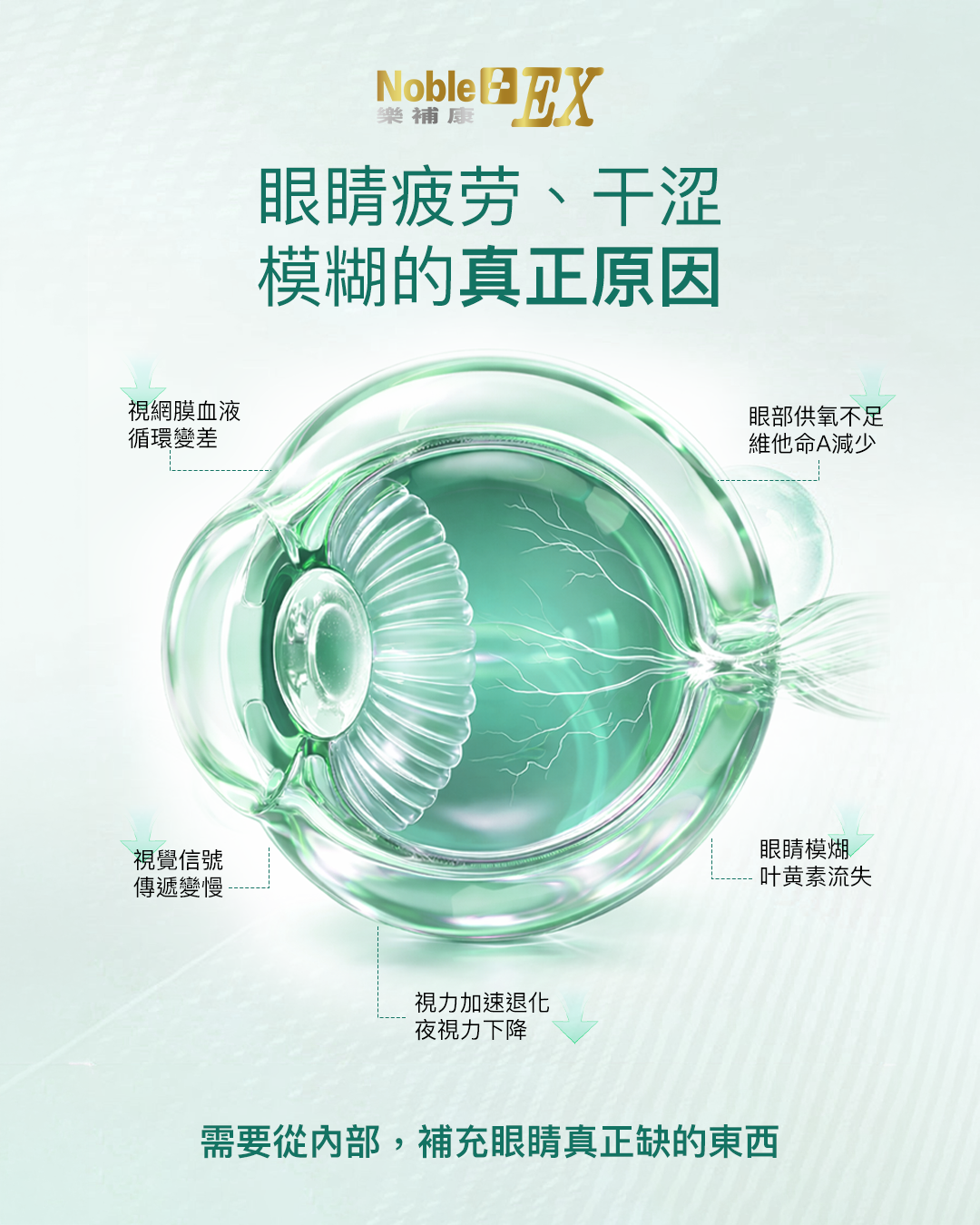 樂補康7合1樂視明 （全方位補眼+護眼配方）60粒