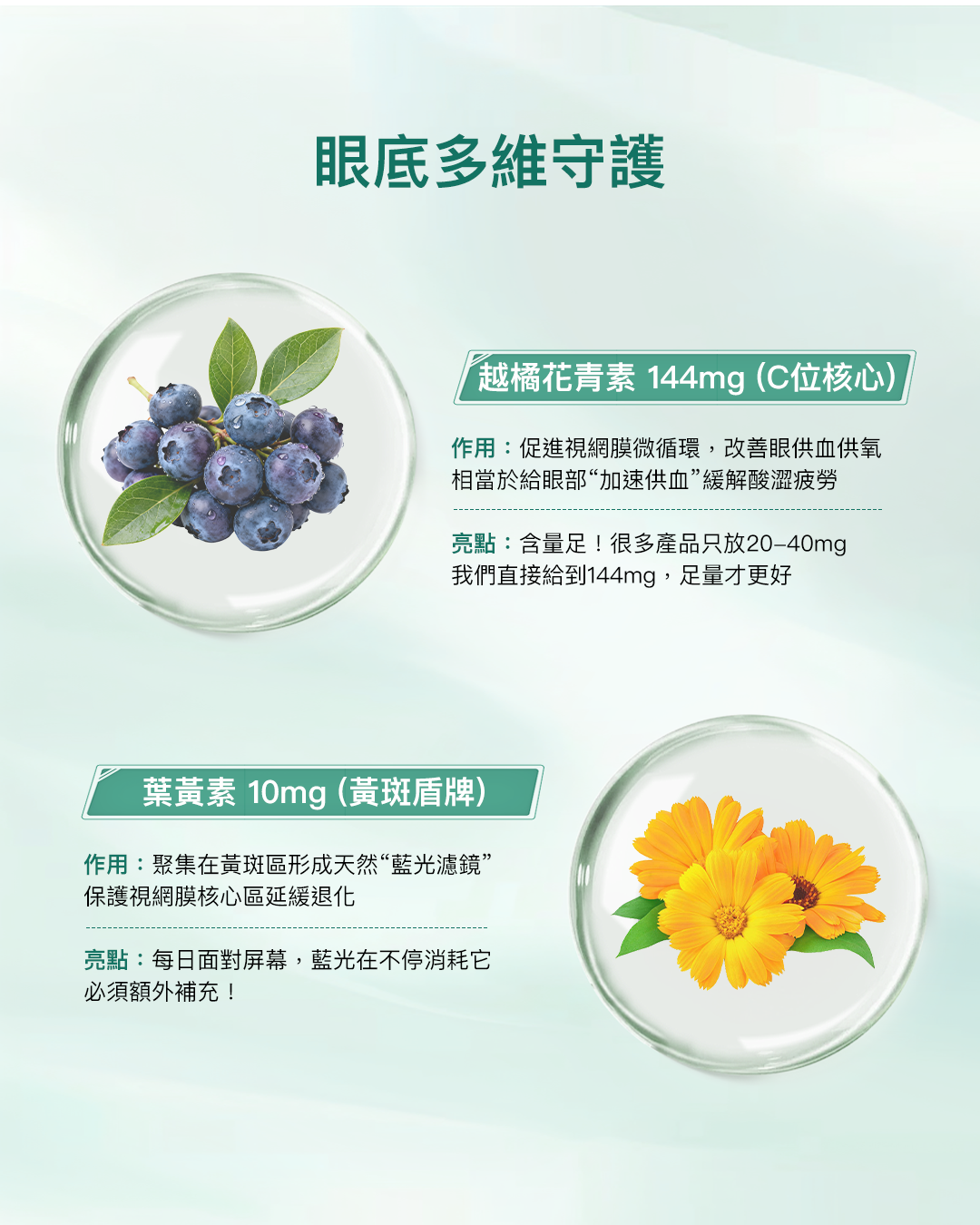 樂補康7合1樂視明 （全方位補眼+護眼配方）60粒